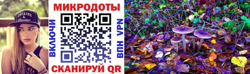 Купить закладки  Коряжма  Псилоцибиновые грибы GOLDEN TEACHER 